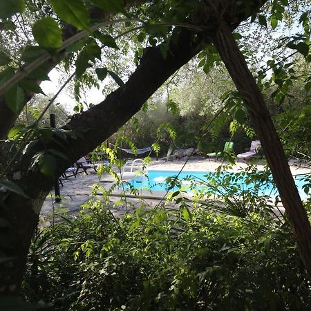 Tikal Boungalows Ξενοδοχείο Malcocinado  Εξωτερικό φωτογραφία