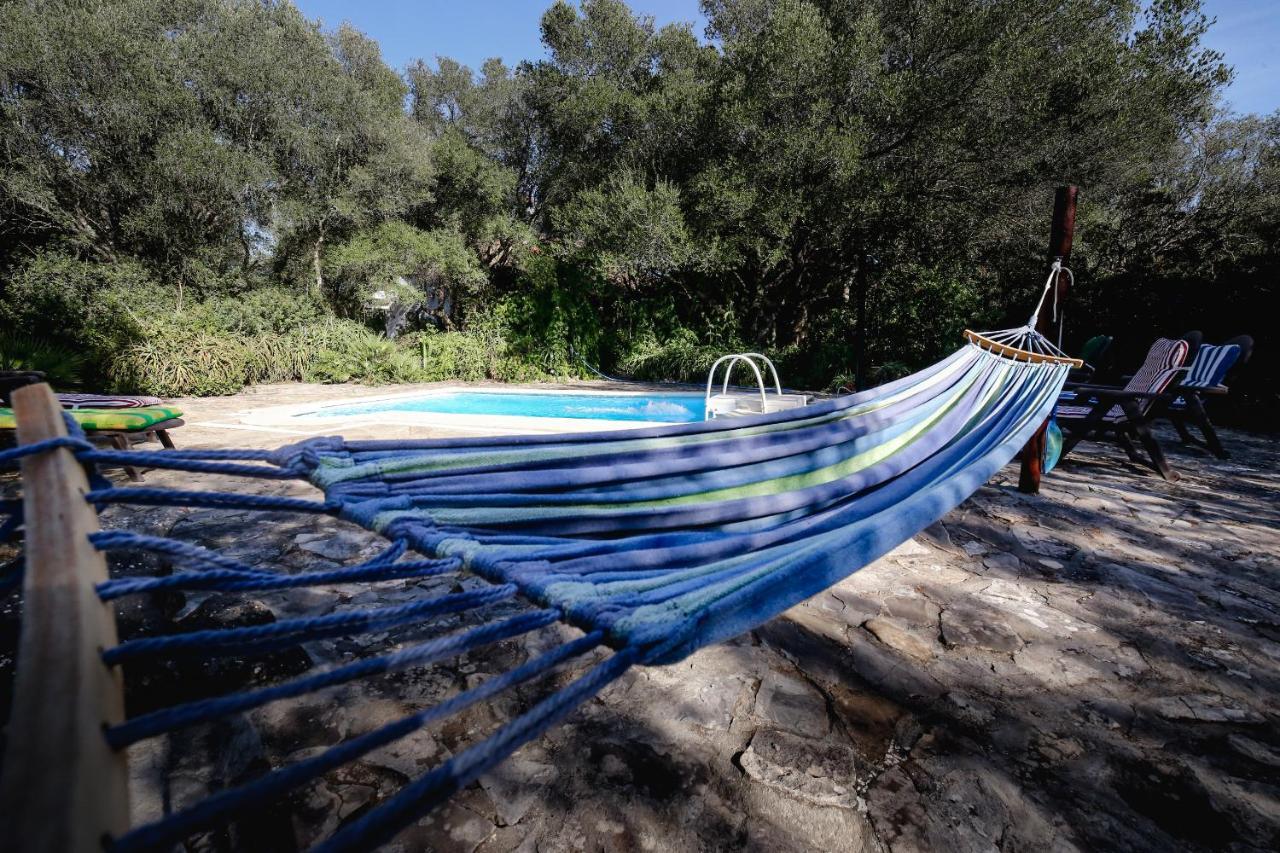 Tikal Boungalows Ξενοδοχείο Malcocinado  Εξωτερικό φωτογραφία