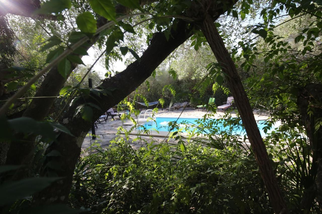 Tikal Boungalows Ξενοδοχείο Malcocinado  Εξωτερικό φωτογραφία